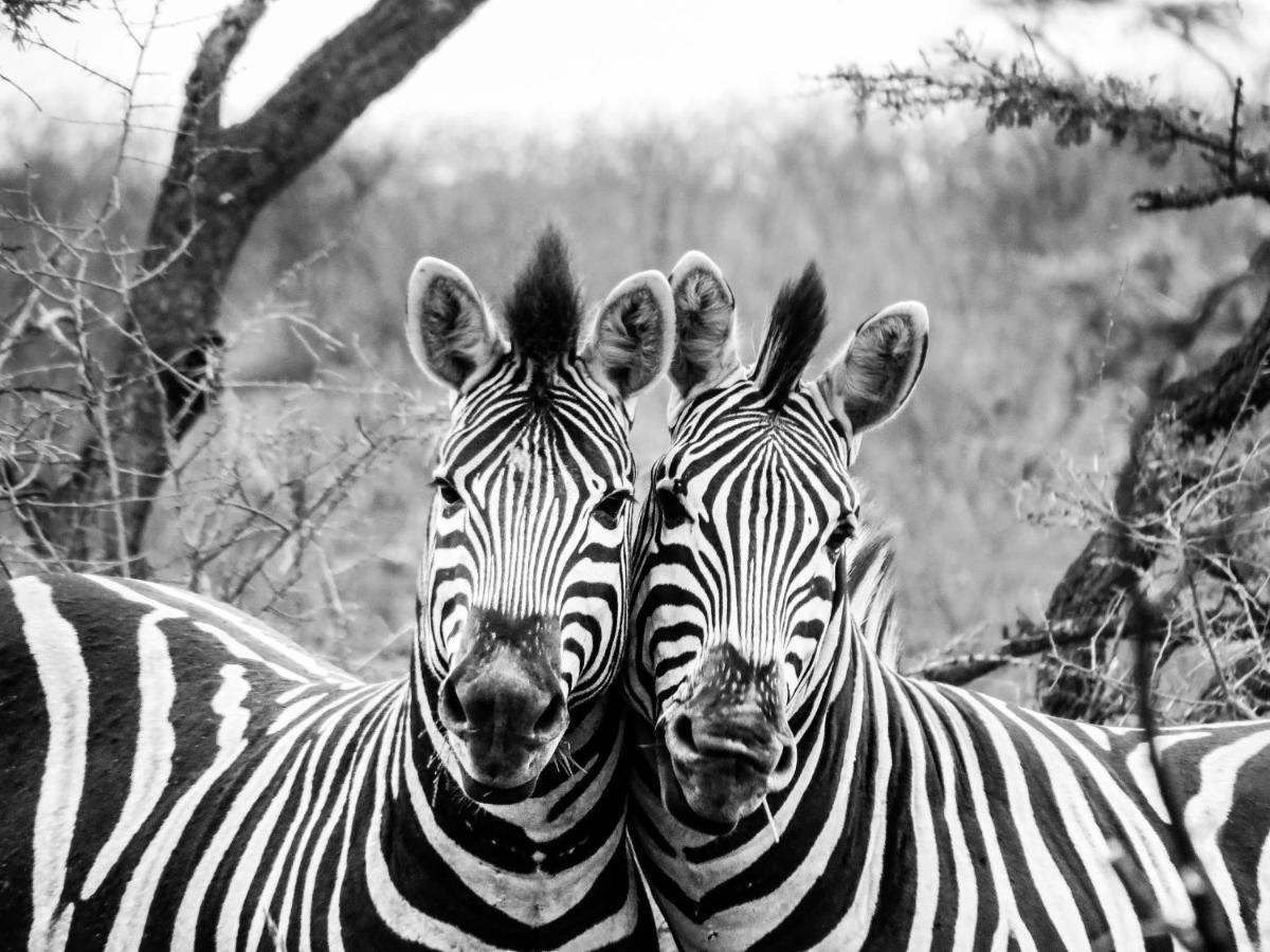 African Spirit Game Lodge Mkuze エクステリア 写真