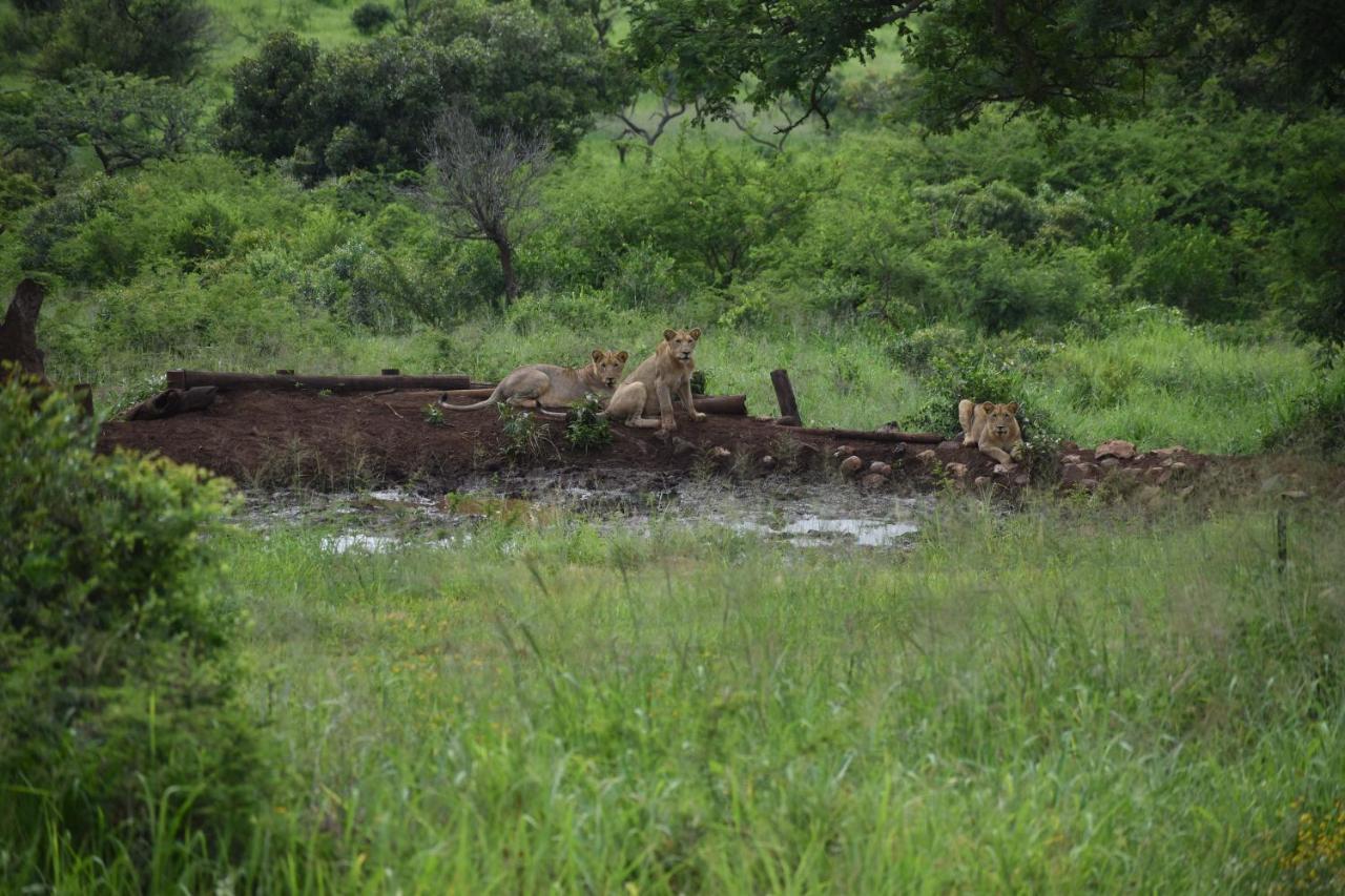 African Spirit Game Lodge Mkuze エクステリア 写真